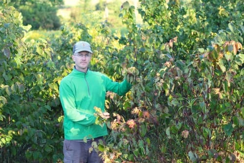 Photo: A man poses with a hazelnut shrub.
