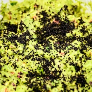 Photo: Green guacamole with black specks is shown.