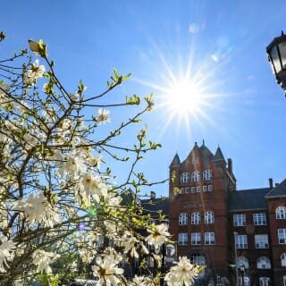 Photo: The dark red brick of Science Hall is set off by white blossoms.
