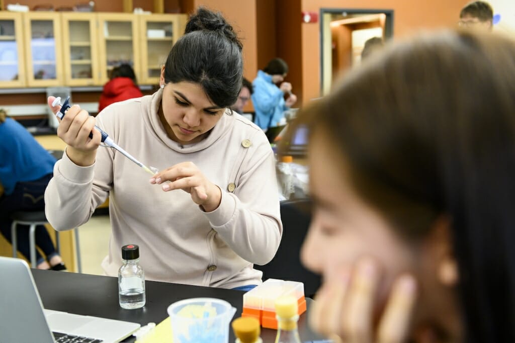 Photo: Students work carefully with samples.
