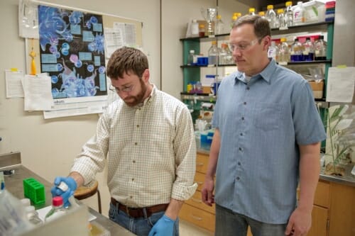 Photo: Ben Umlauf and Eric Shusta working at lab bench