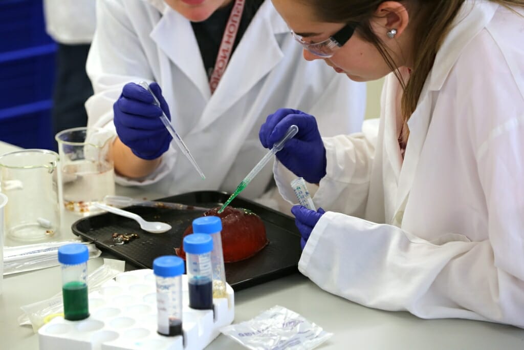 Photo: Two students in white lab coats looking at cells
