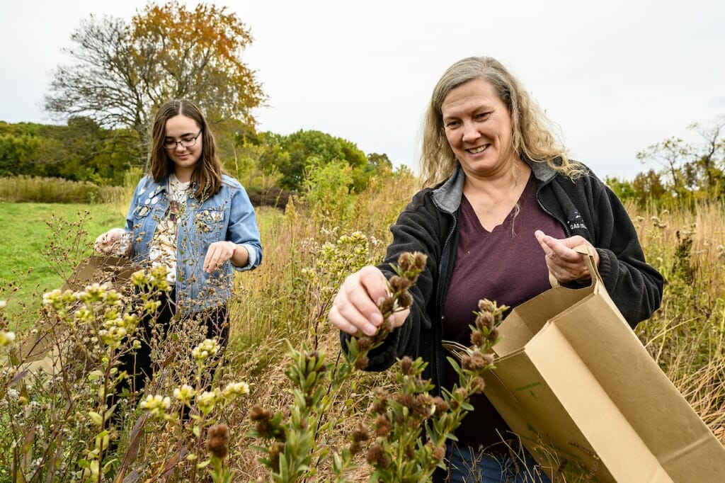 Photo: 2 women gathering seeds from plants