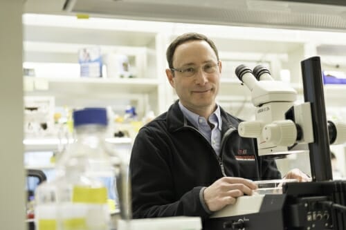 Photo: Newmark standing at microscope in lab