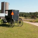 Photo: Amish wagon on farm next to silos
