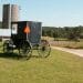 Photo: Amish wagon on farm next to silos