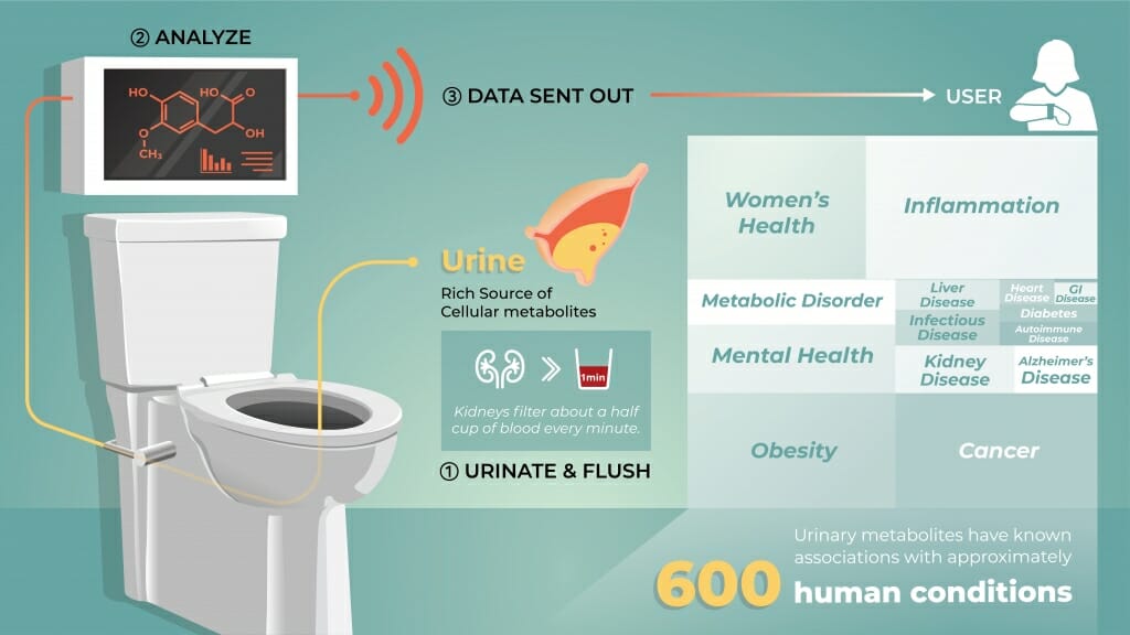 Photo: Diagram showing urine going into toilet, through a spectrometer, and transmitted to a user