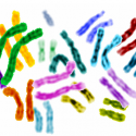Image: Colorized representation of human genes