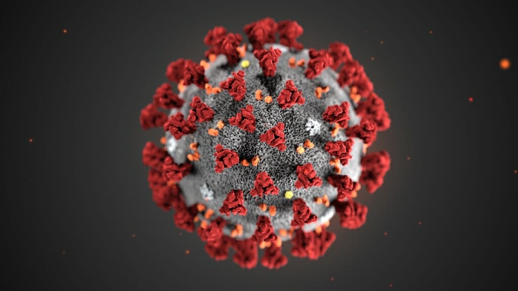Illustration: Ultrastructural morphology exhibited by coronaviruses. Spikes adorn the outer surface of the virus, which impart the look of a corona surrounding the virion, when viewed electron microscopically.