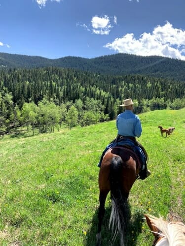 Um homem monta um cavalo numa colina verde.