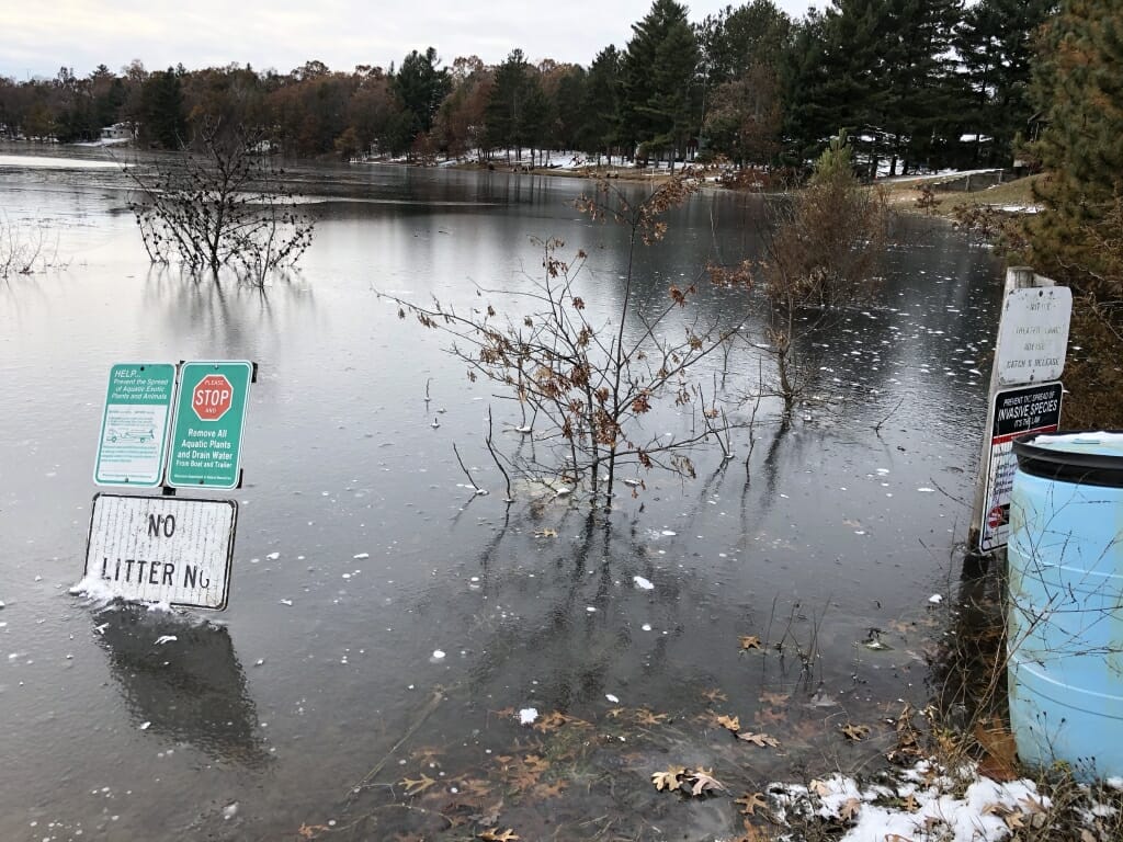 A lake's flooding shoreline, with lots of water.