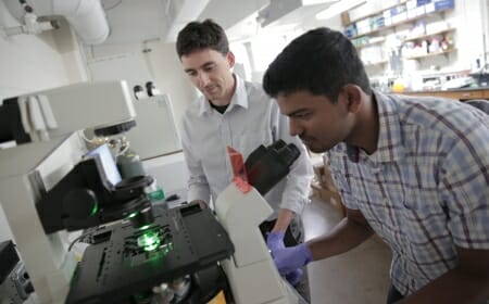 Photo: Two researchers wearing white coats work in a lab.