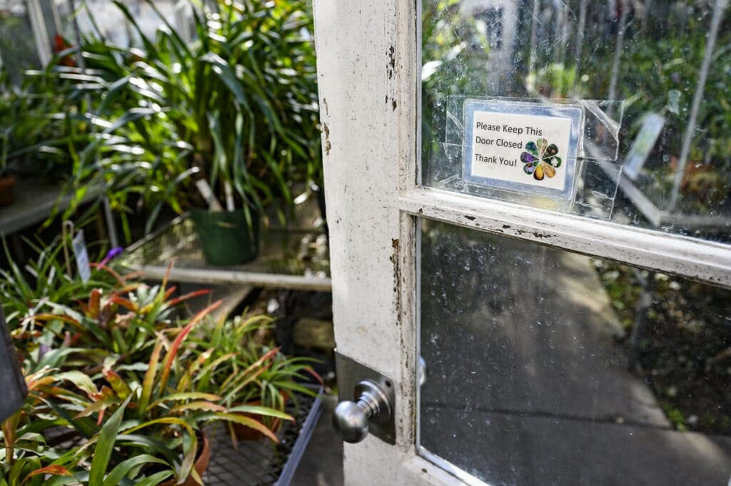 Open white door leading into greenhouse