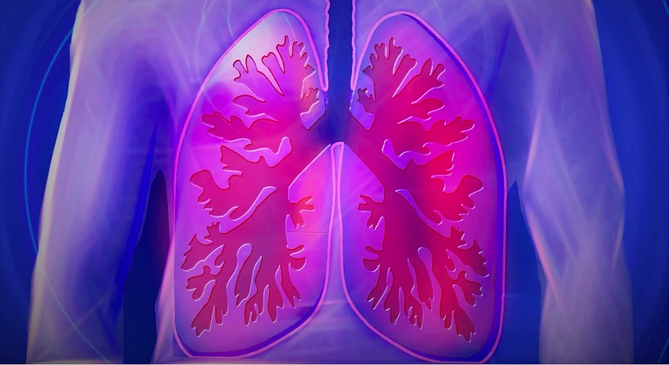 Molds damage the lung’s protective barrier to spur future asthma attacks