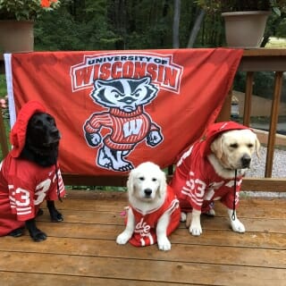 On Twitter, Karen Crowley shared a photo of her doggos representing their favorite university. 