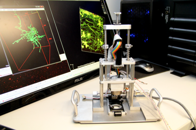 Device that delivers impact to cells in a petri dish, standing on a table in front of video display of brain cells
