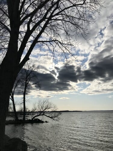 Lake and tree under cloudy sky