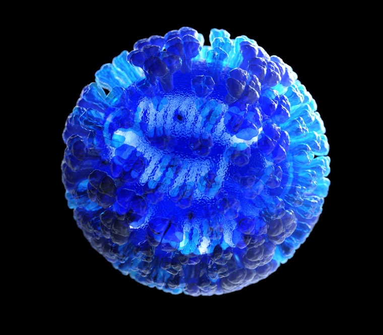 Three-dimensional, semi-transparent rendering of a whole influenza virus