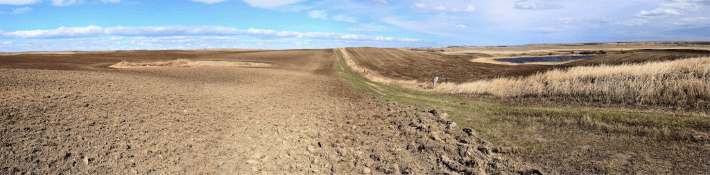 Plowed farm field