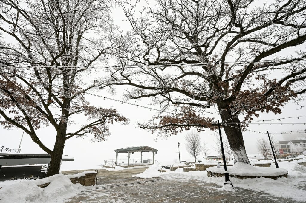 Rime ice coating tree branches gives an other-wordly look to the empty and snow-covered Memorial Union Terrace.
