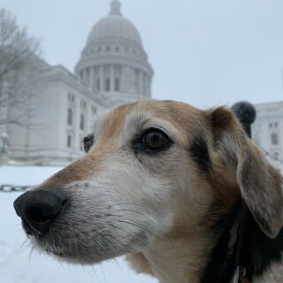 Chester at the Capitol.