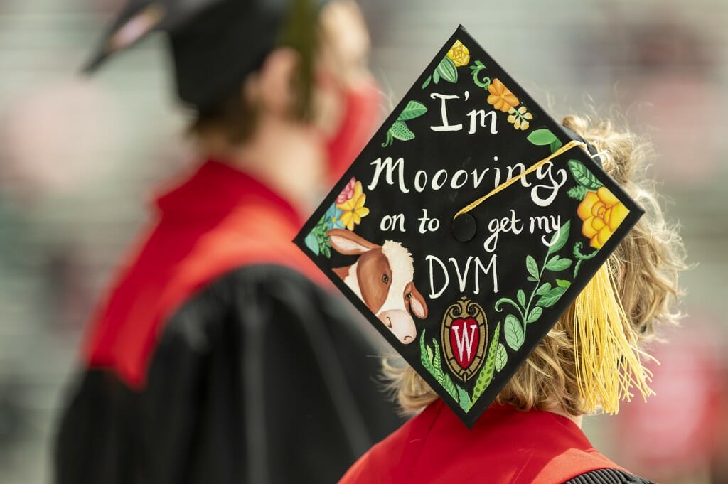 A mortarboard with a picture of a cow and the message "I'm mooving on to get my DVM"