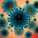 Artist's rendering of coronavirus particles