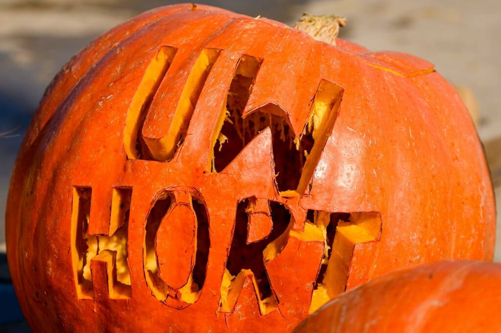 Pumpkin with UW HORT carved in it