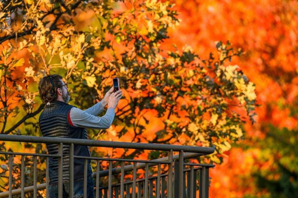 No person with a camera phone — not you, not me, not Kip Leadholm of McFarland — can resist the urge to become a nature photographer in the UW Arboretum, especially when it's ablaze with fall color.