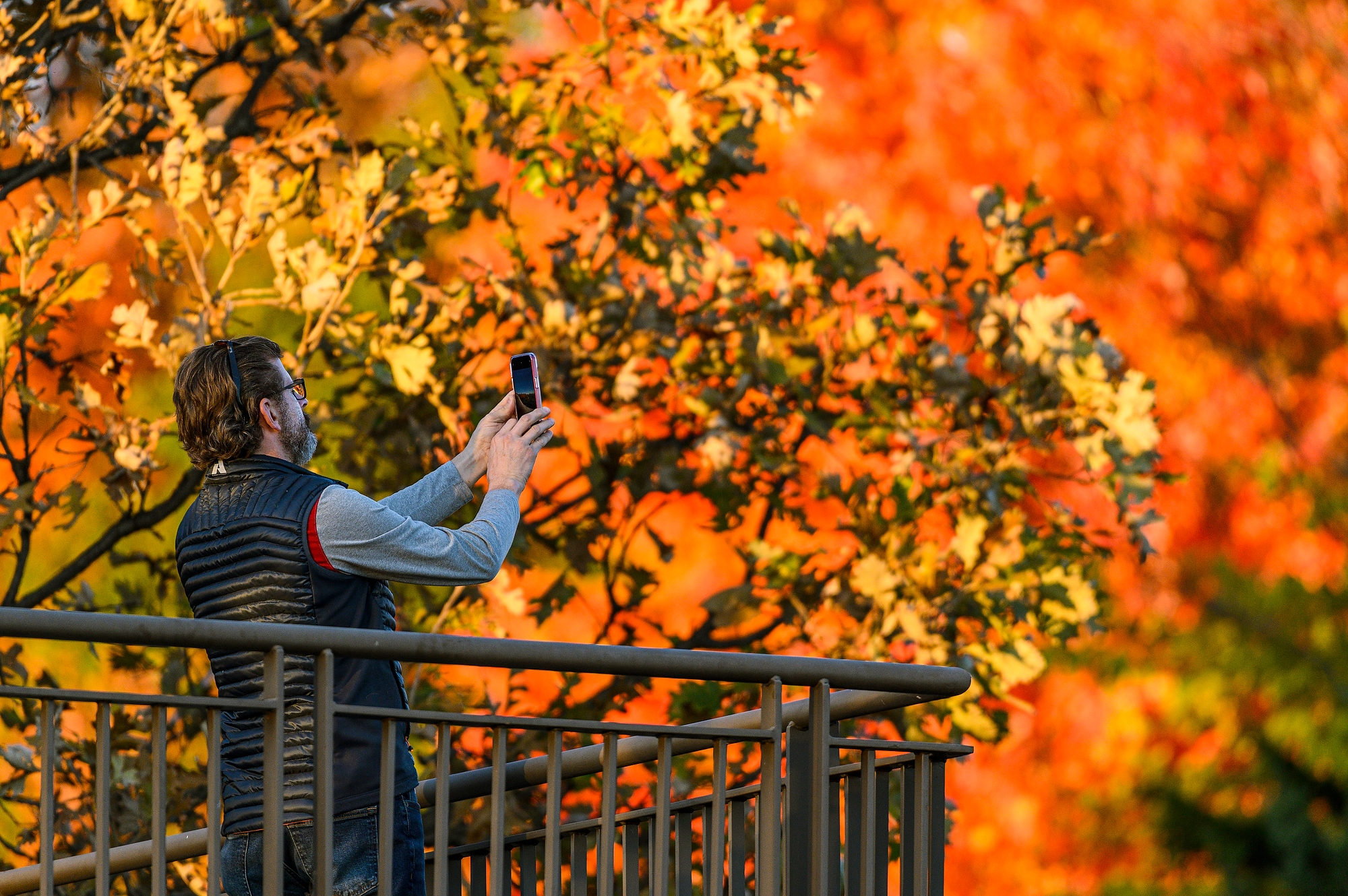 Media advisory: Fall into autumn with experts from UW–Madison – UW ...