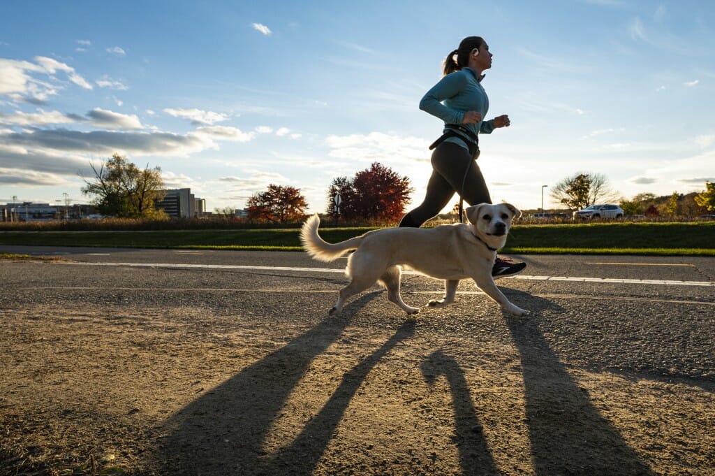Just wondering: Do four-legged joggers require two Fitbits?
