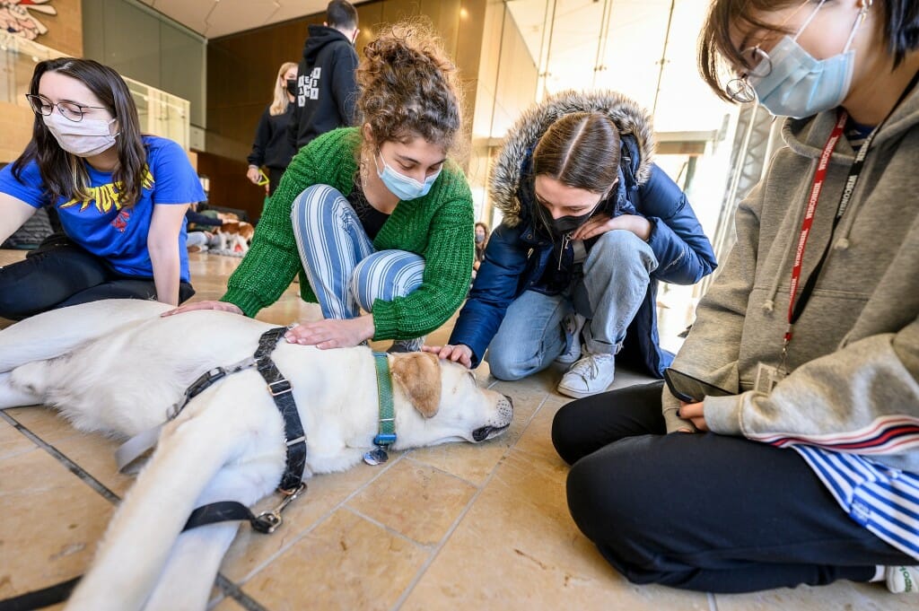 Yahtzee, a yellow Labrador with Dogs on Call, enjoys the pets from Rojaan Koupaci-Abyazani (second from the left) and Nina Starynski (third from the left) as other students look on.