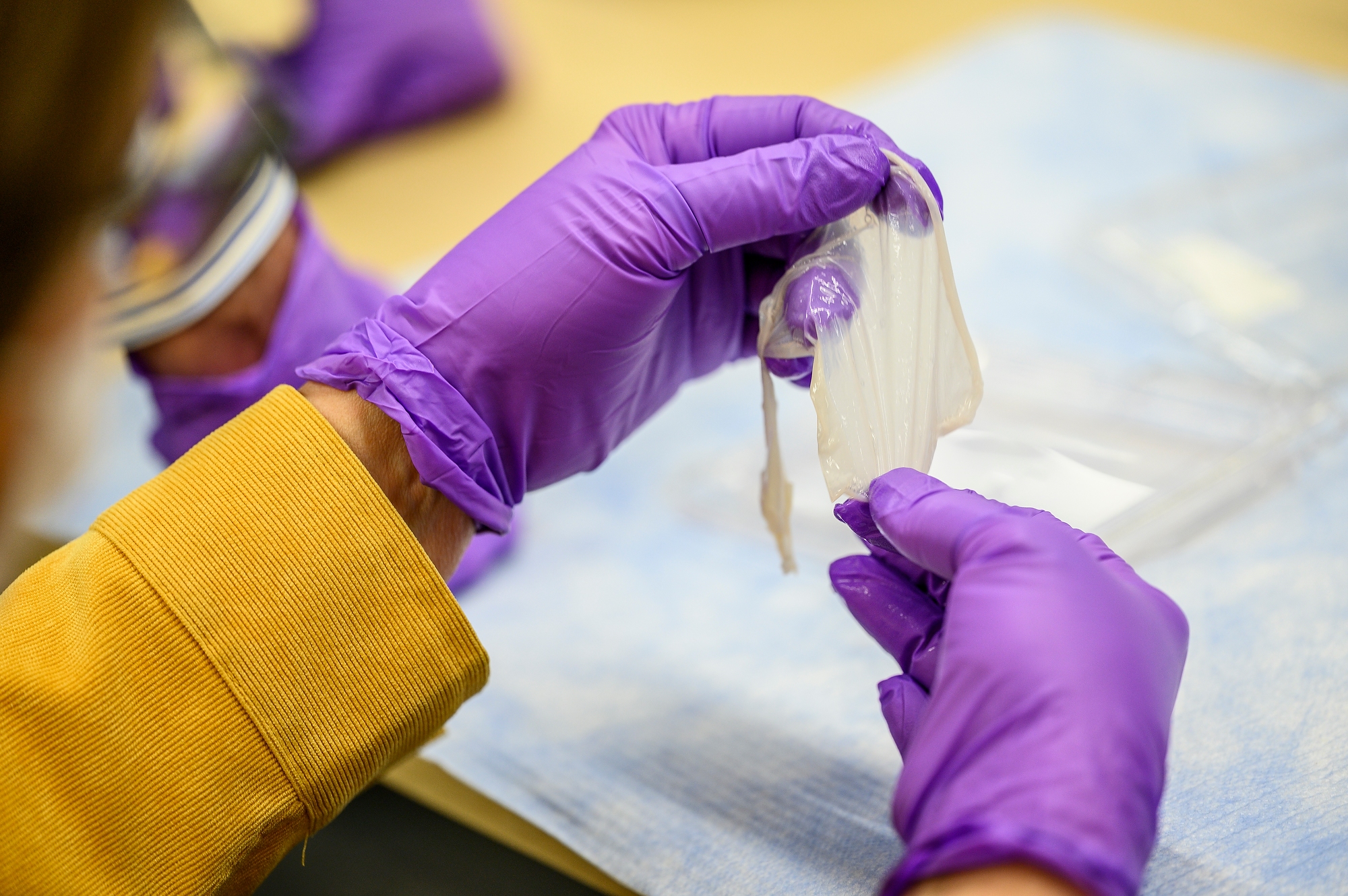 Strata Tech Lab Gov. Evers, state leaders tour UW biotech spinoff Stratatech – UW ...