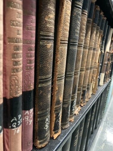 About a dozen old books with worn bindings on a bookshelf