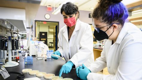 At left, Betül Kaçar, assistant professor of bacteriology, and graduate student Kaitlyn McGrath look at and discuss Petri dishes containing cultures of ancient DNA molecules in Kaçar’s research lab in the Microbial Sciences Building.