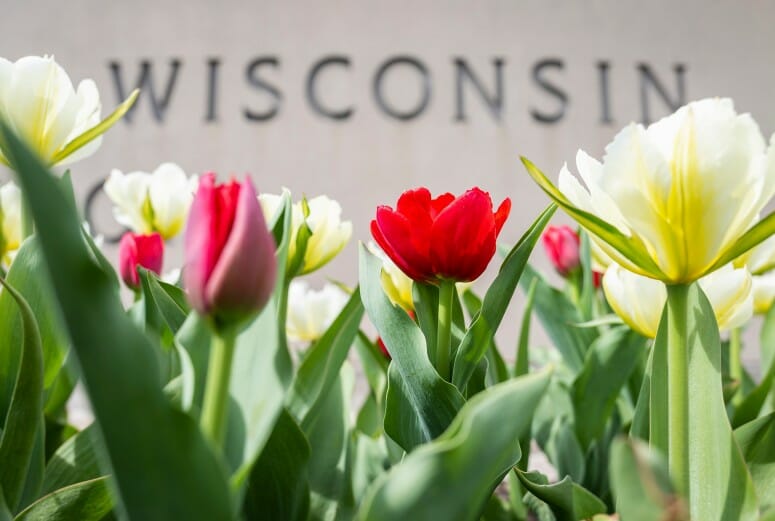 Spring takes its own sweet time – UW–Madison News
