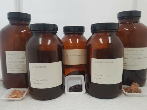 A row of brown jars with white labels.