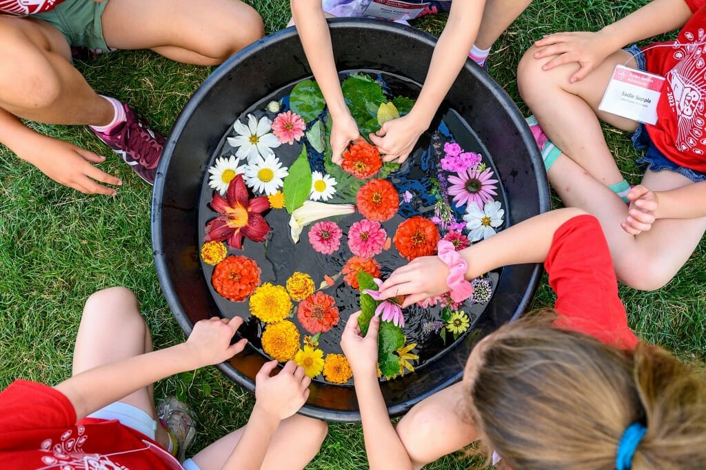 A photo of a pot of flowers, with hands in it, looking directly down.