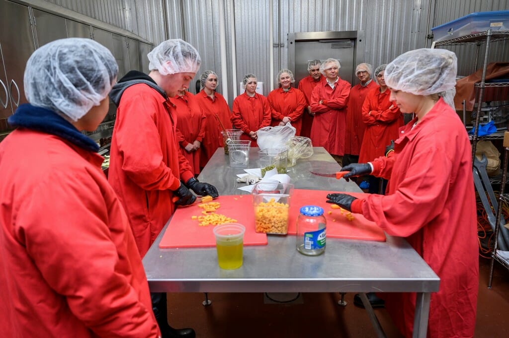 UW graduate students Phillip Thao (far left), Adam Falk (second to left), and Jessica Brown (far right) prepare Bloody Mary summer sausage with pickles and cheese in advance of the American Association of Meat Processors competition next week, as USDA staff members observe.