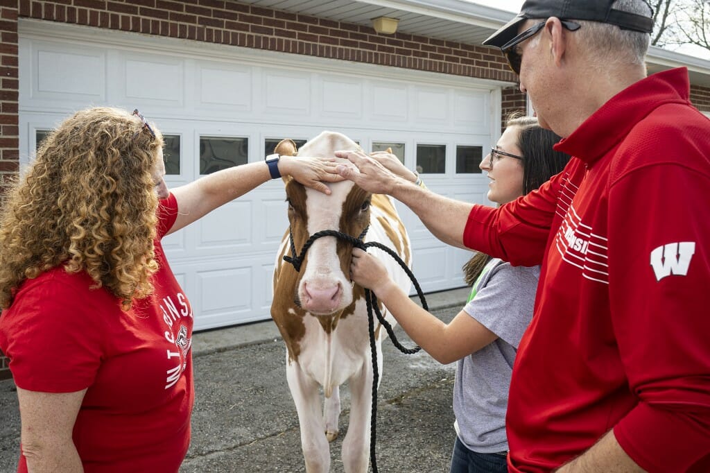 Chancellor Mnookin pets a cow with her husband Joshua Foa Dienstag while 4-H member Madison Wiese talks about the process of raising cattle as part of the 4-H Club. UW Extension runs the 4-H Club program.
