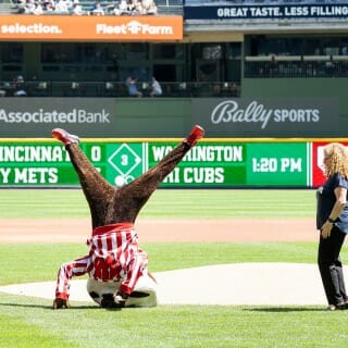 Chancellor Mnookin wears a navy blue Brewers shirt and watches Bucky Badger doing a headstand on the field at a Brewers game.