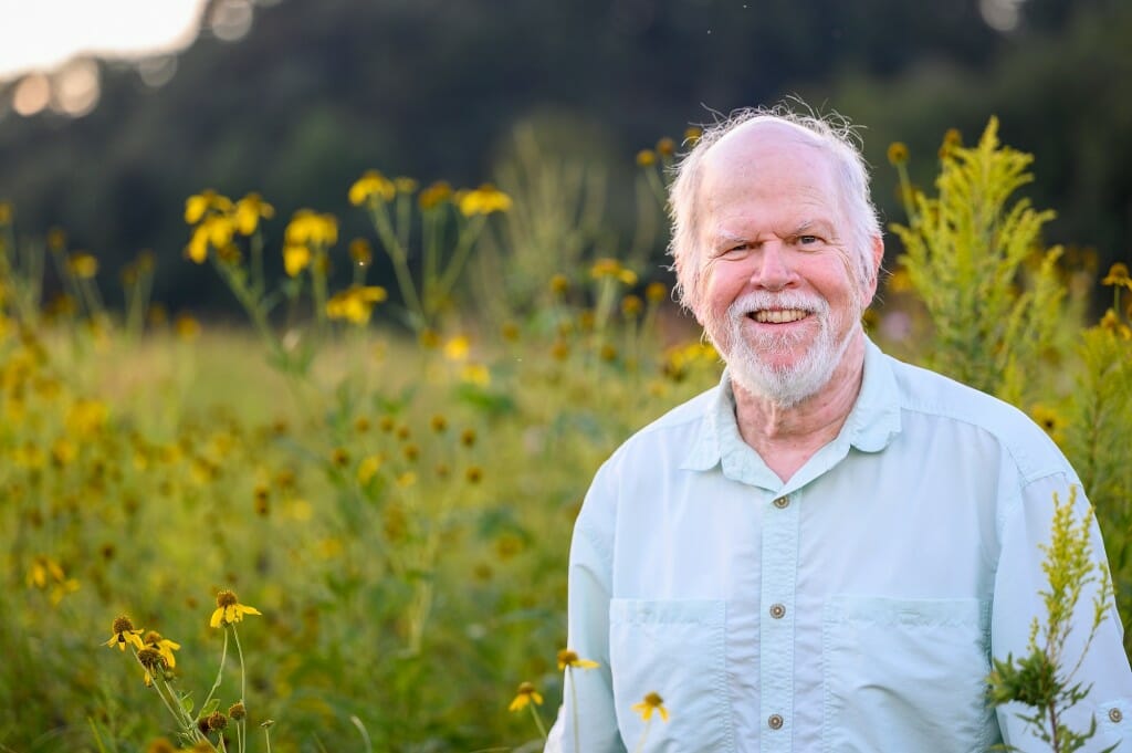 A man stands in a field of yellow prairie flowers