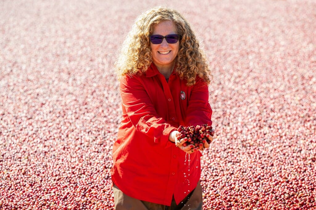 Jennifer Mnookin stands in a cranberry marsh on a sunny day smiling and holding a handful of cranberries toward the camera.