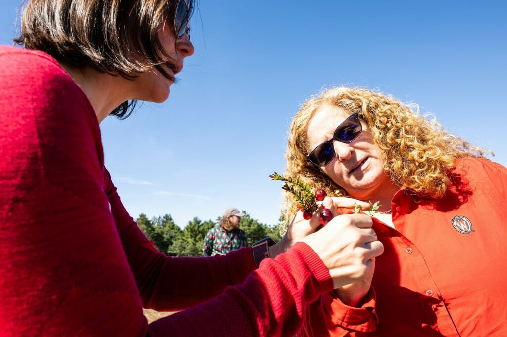 Amaya Atucha points out the budding top of a cranberry plant to Jennifer Mnookin outdoors on a sunny day.