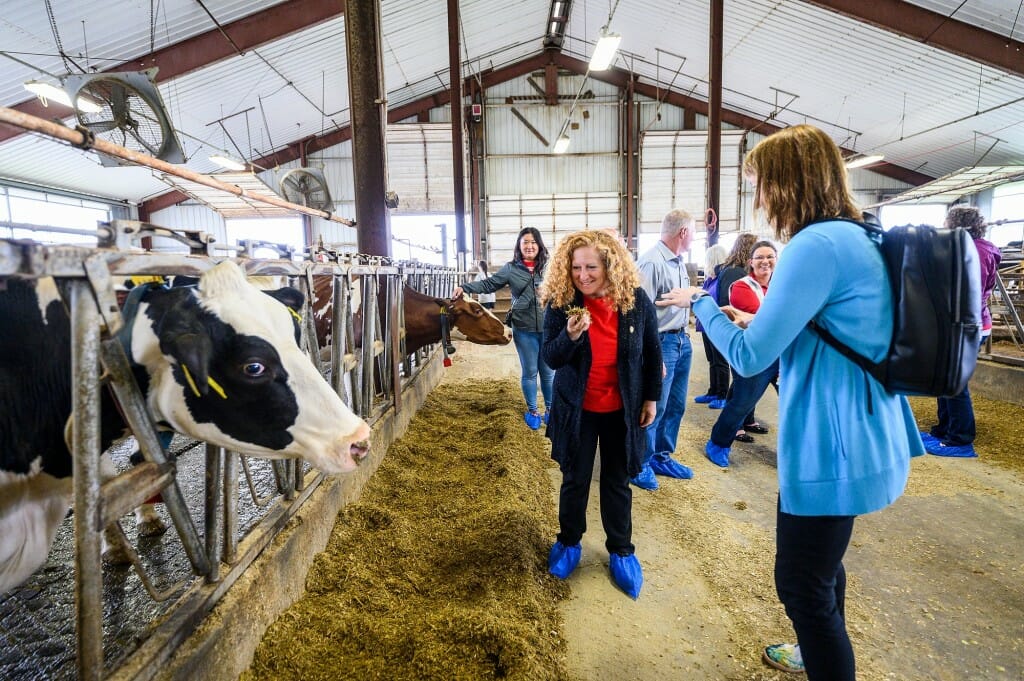 Chancellor Mnookin smiles as UW–Platteville Interim Chancellor Tammy Evetovich (at right) takes a photo of her holding some Total Mixed Rations at Pioneer Farms.