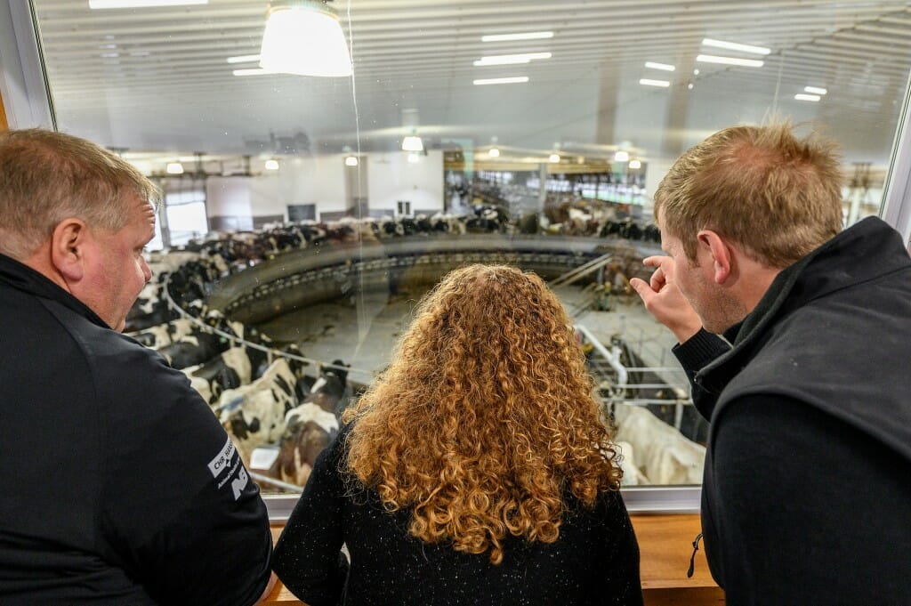 Chancellor Jennifer Mnookin (center) looks at the rotary milking parlor with Schmidt Dairy Farm owner Randy Schmidt (left) and Schmidt’s son Ryan Schmidt (right). In this 72-stall rotary milking parlor, four farm workers stand in place around the circle to prep, harvest the milk, and post-dip the cows as they pass by. Each cow can produce 10 pounds of cheese a day, and overall they produce 330,000 pounds of milk each day.
