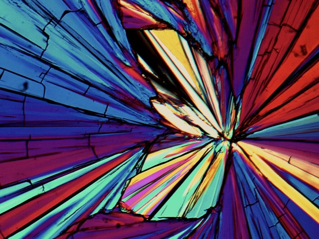 A polarizer makes arabitol shine as light passes through the sugar alcohol, illuminating its crystalline structure like a pane of stained glass or the sections of a butterfly wing. The crystal structures of drugs have profound influence on the way pharmaceuticals work in the body. Observing crystal formation in arabitol and similar substances helps researchers ensure safe and effective pharmaceuticals (and sharp LCD screens and perfectly tempered chocolate). Amy Neusaenger, graduate student, Pharmacy polarized light microscope