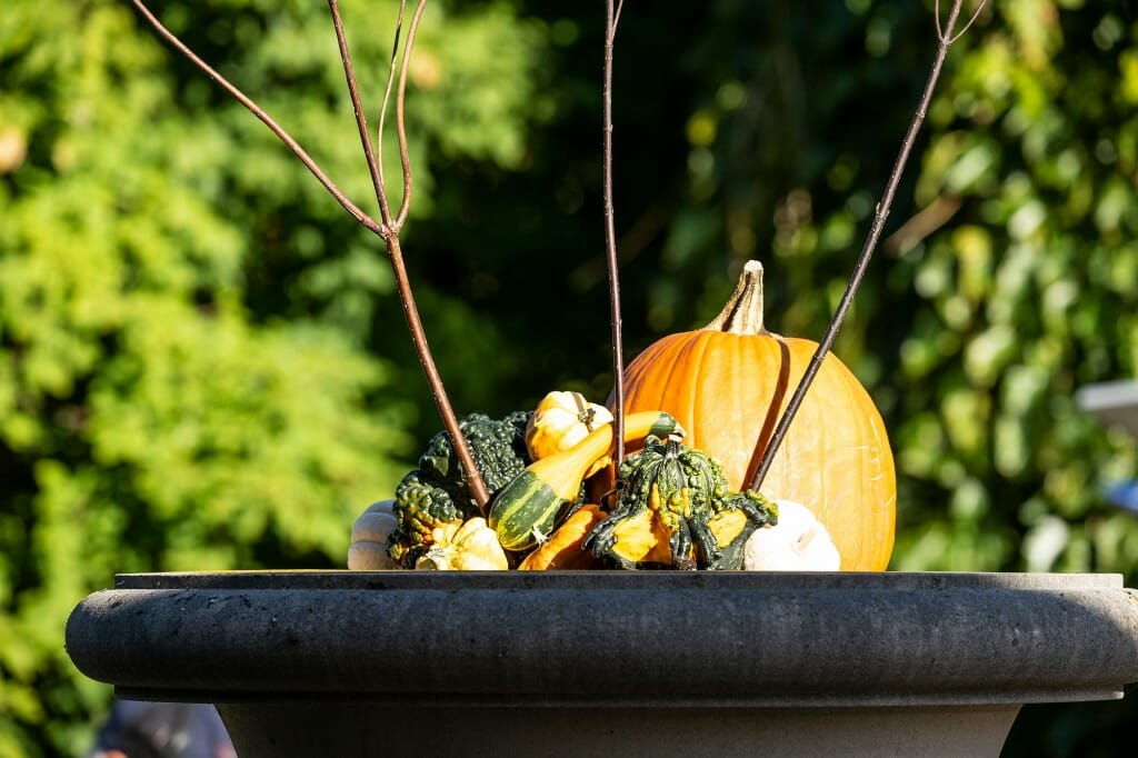A fall-season decoration made of pumpkin, squash and gourds.