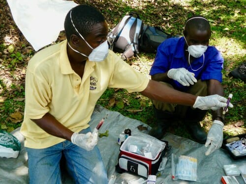 Dr. David Hyeroba (left) holds a syringe in his left hand and passes a sample vile with his right to Kibale EcoHealth Project field assistant Patrick Katuramu.