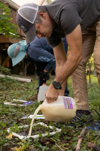 A man pours a milk jug filled with a mix of water and powdered mustard onto the ground.